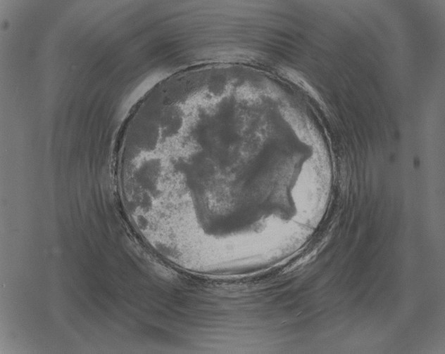 X0000078291071200612011803