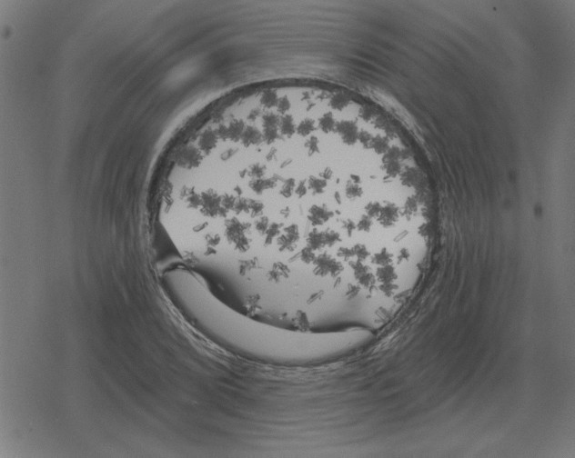 X0000078291072200612011803