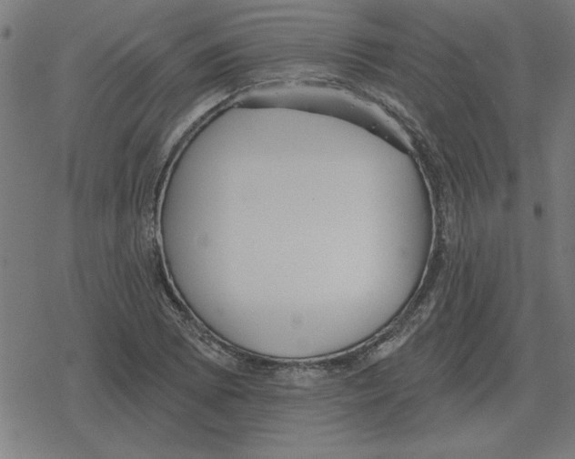 X0000078291073200612011803