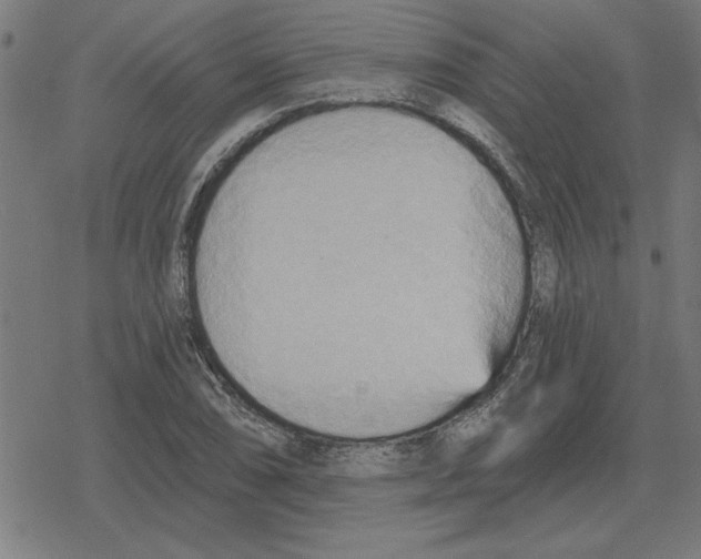 X0000078291074200612011803