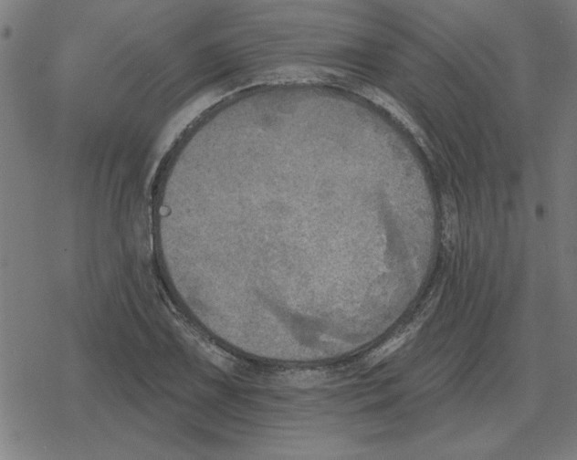 X0000078291075200612011803