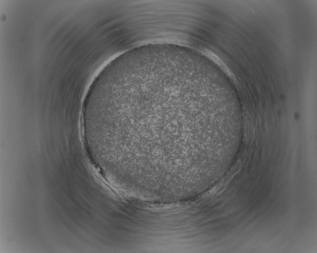 X0000078291076200612011803