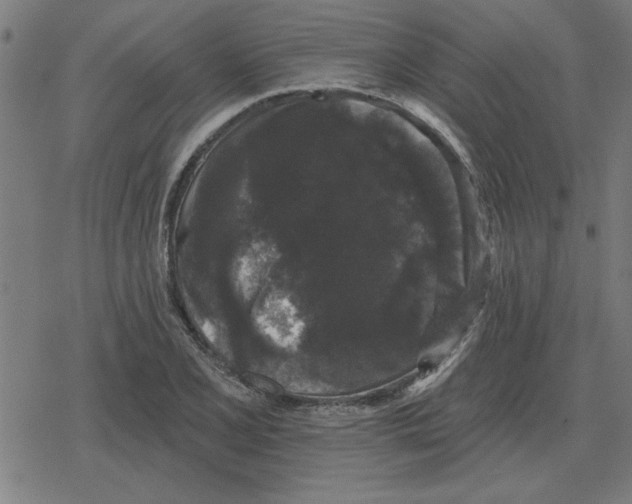 X0000078291077200612011803