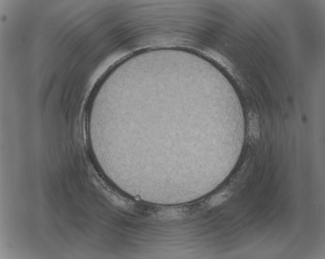 X0000078291078200612011803