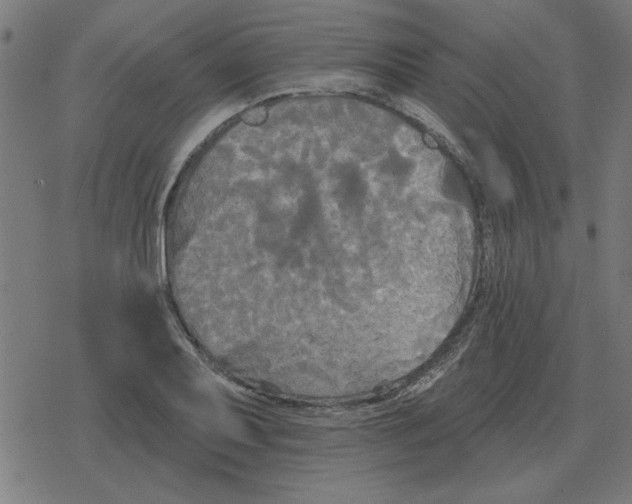 X0000078291079200612011803