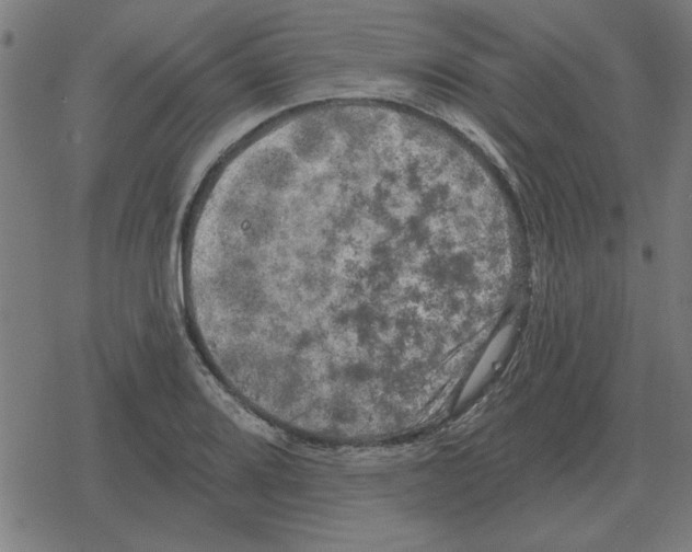 X0000078291080200612011803