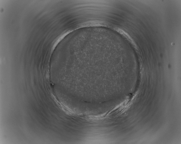 X0000078291081200612011803