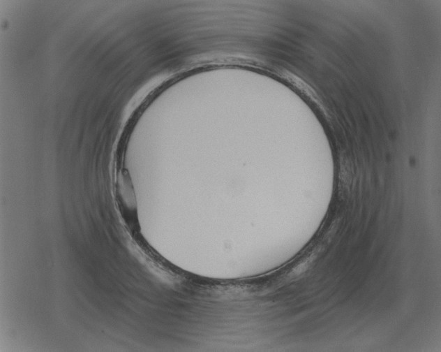 X0000078291082200612011803