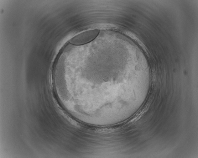 X0000078291083200612011803