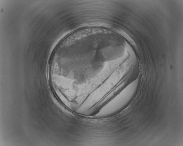 X0000078291084200612011803