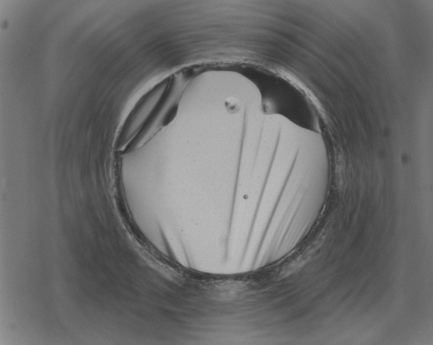 X0000078291085200612011803