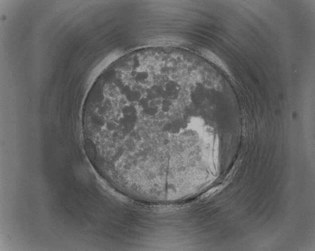 X0000078291087200612011803