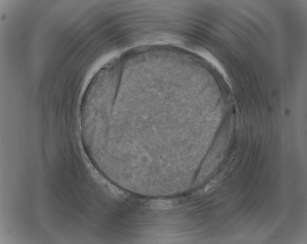 X0000078291088200612011803