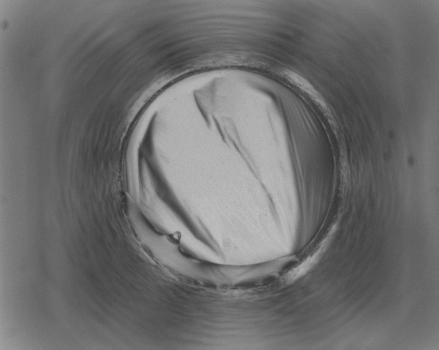 X0000078291089200612011803