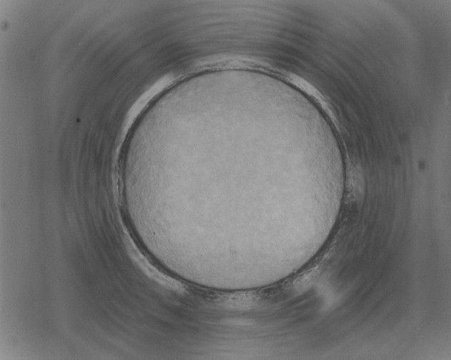 X0000078291090200612011803