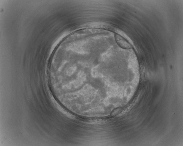 X0000078291091200612011803