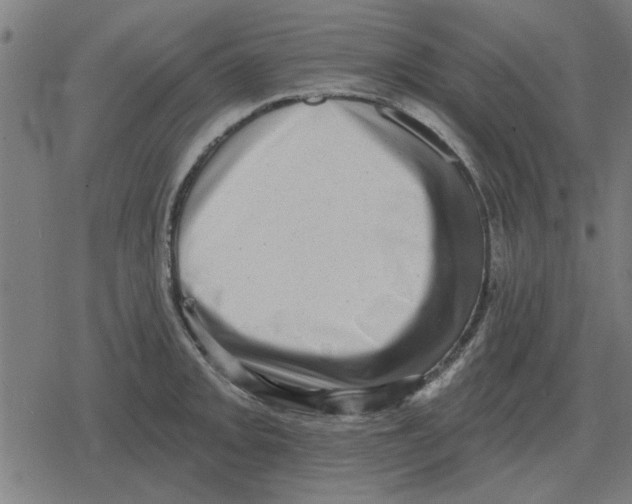 X0000078291093200612011803