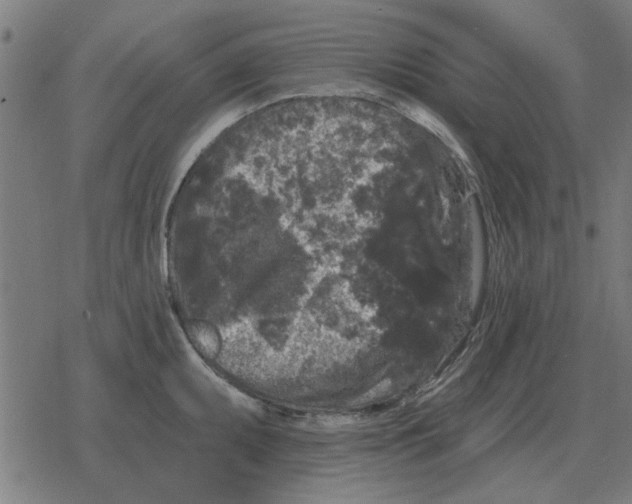 X0000078291095200612011803