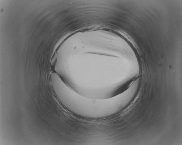 X0000078291097200612011803