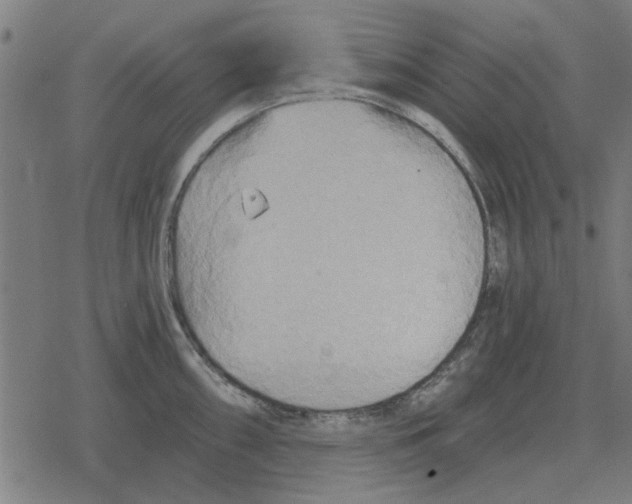 X0000078291098200612011803