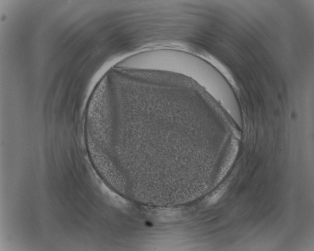 X0000078291102200612011803