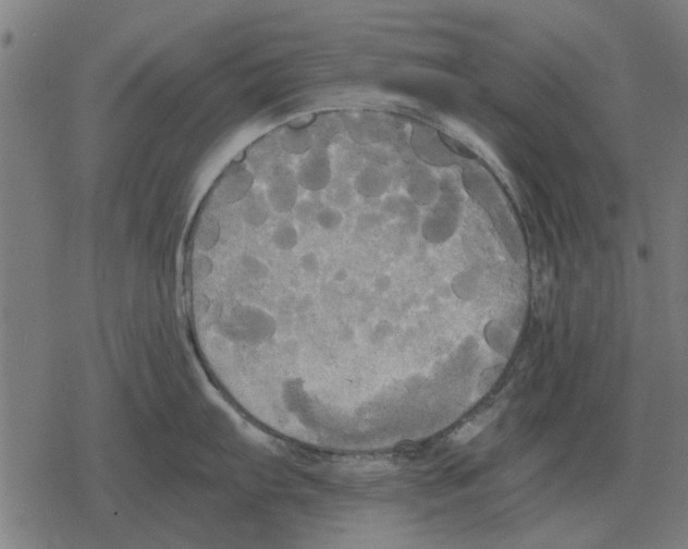 X0000078291103200612011803