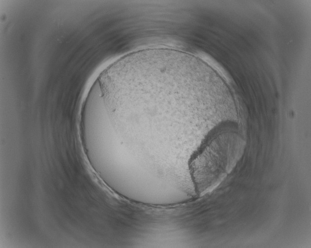 X0000078291104200612011803