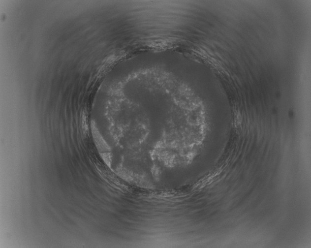 X0000078291106200612011802