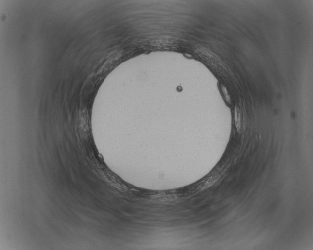 X0000078291107200612011802