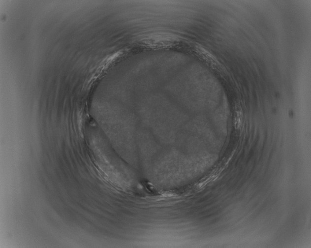 X0000078291108200612011802