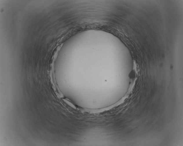 X0000078291109200612011802