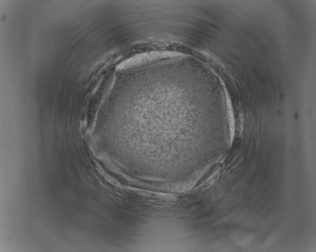 X0000078291110200612011802