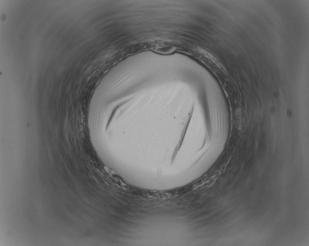 X0000078291111200612011802