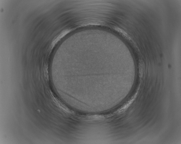 X0000078291113200612011802