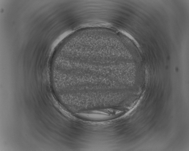 X0000078291114200612011802