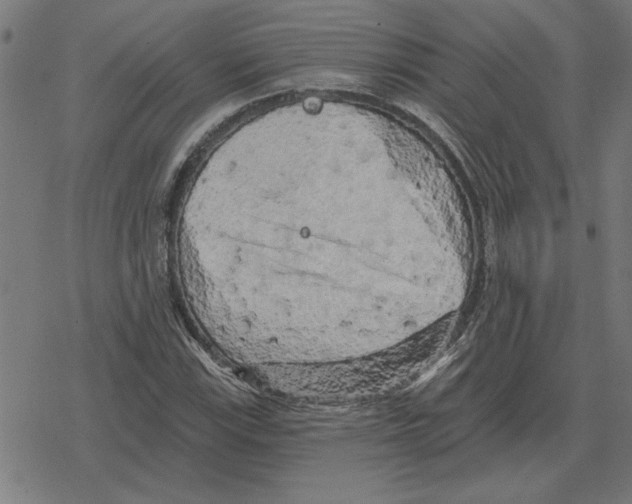 X0000078291115200612011802