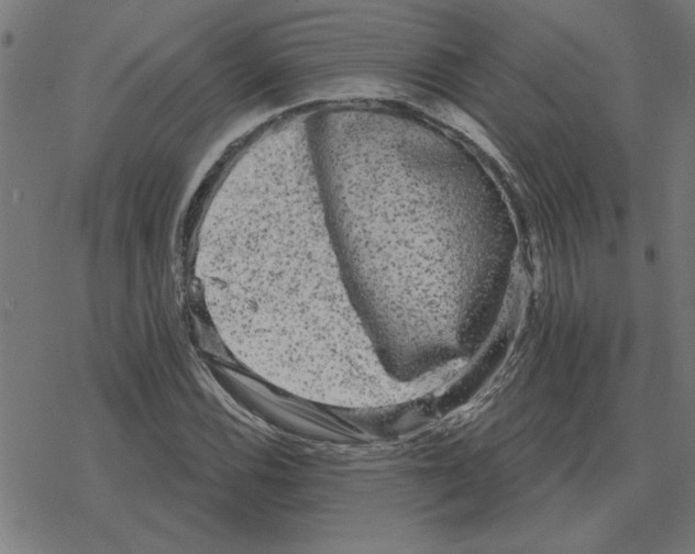 X0000078291116200612011802