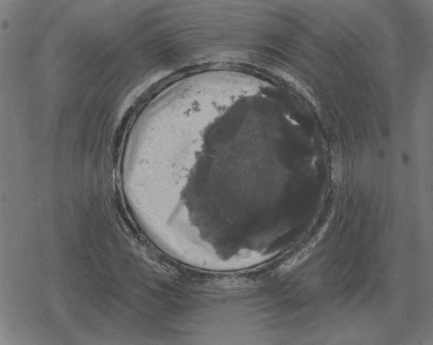 X0000078291117200612011802