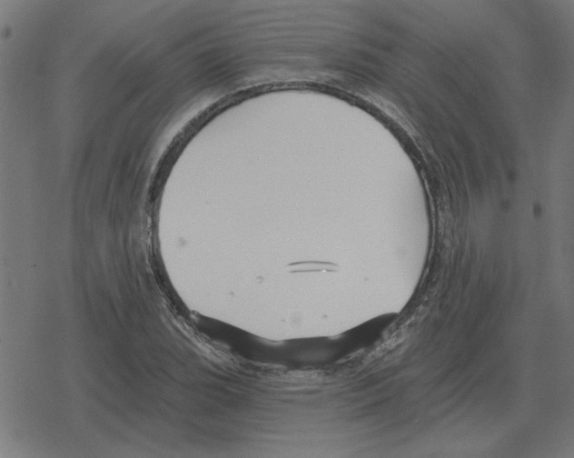 X0000078291119200612011802