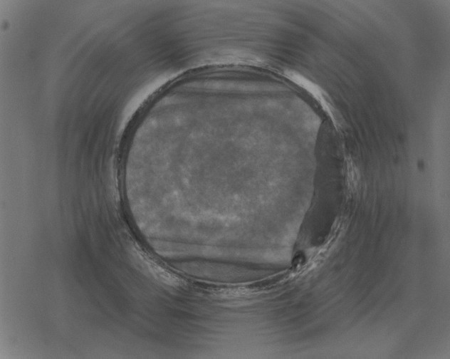 X0000078291120200612011802