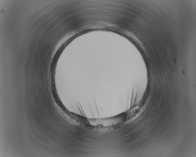 X0000078291122200612011802