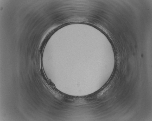 X0000078291123200612011802