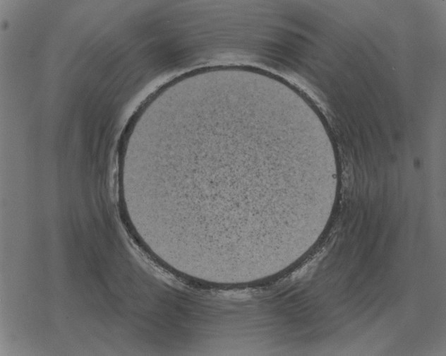 X0000078291126200612011802