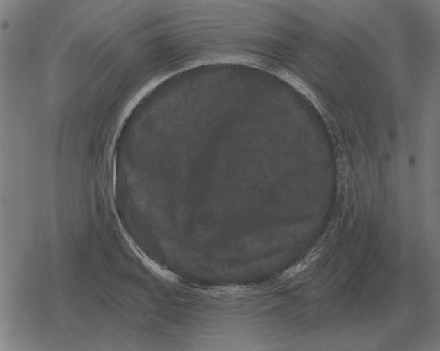 X0000078291127200612011802