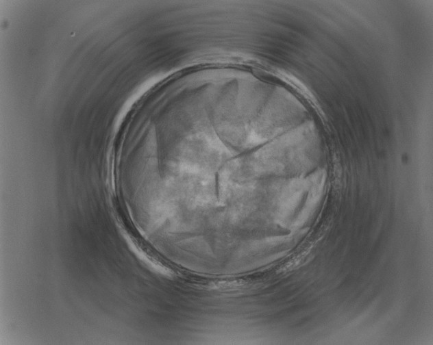 X0000078291128200612011802