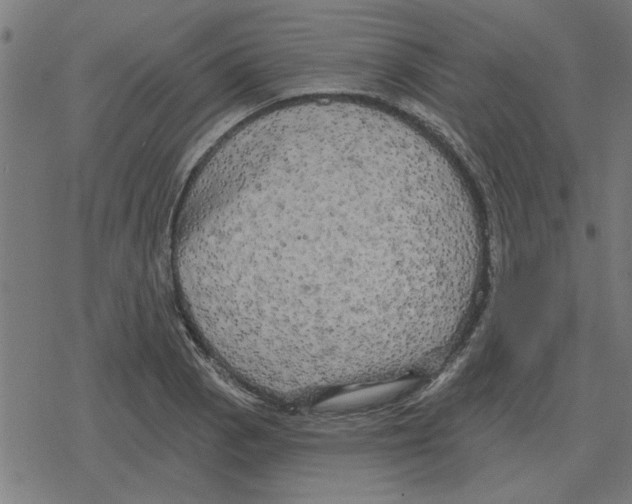 X0000078291129200612011802