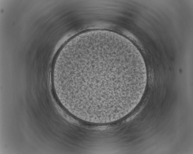 X0000078291130200612011802