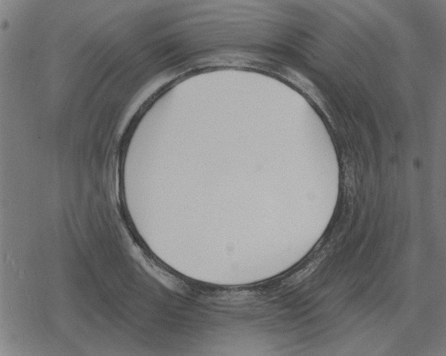 X0000078291131200612011802