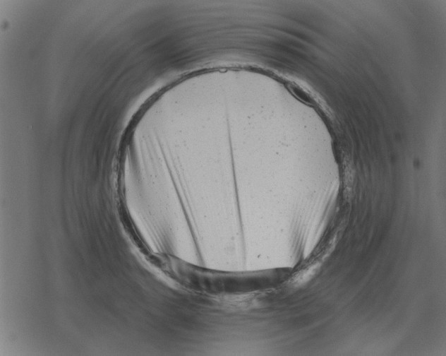 X0000078291134200612011802