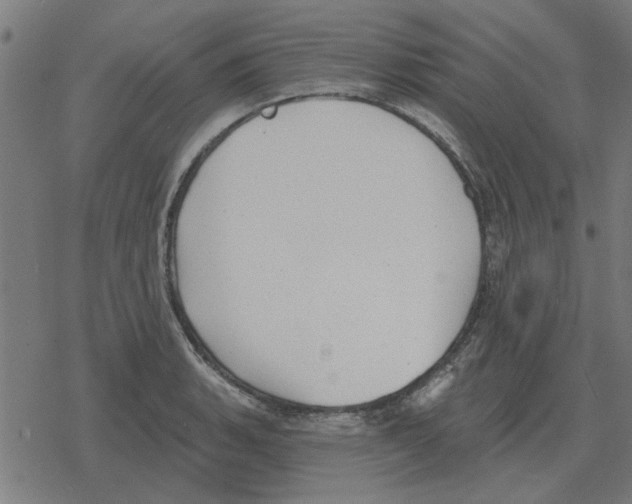 X0000078291135200612011802